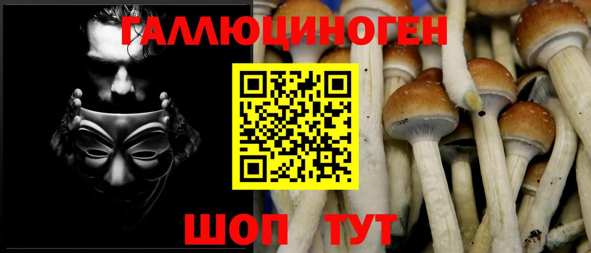 Галлюциногенные грибы мухоморы Сухой Лог