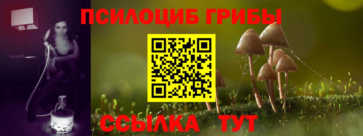 Псилоцибиновые грибы GOLDEN TEACHER  Вход с VPN  Сухой Лог 